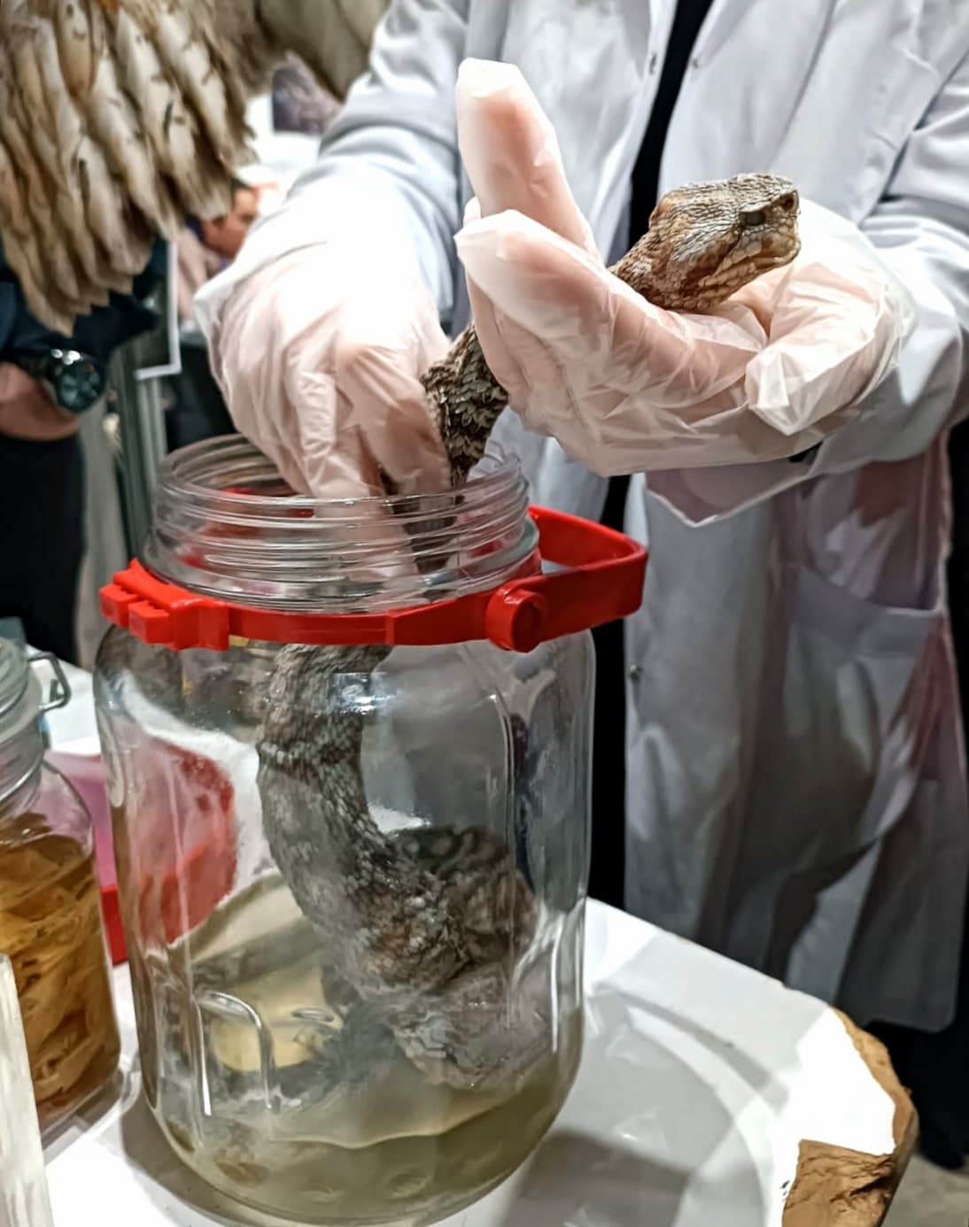 Sempozyum Gönderisi